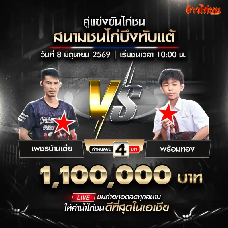 เพชรบ้านเตี่ย พบ พร้อมทอง โปรแกรมไก่ชน สนามชนไก่บึงทับแต้ วันจันทร์ที่ 8 มิถุนายน 2569