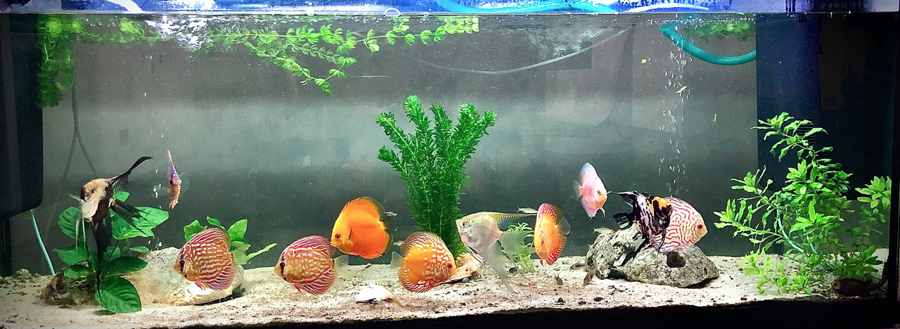 C9424721-B749-43ED-950E-931DC957B506