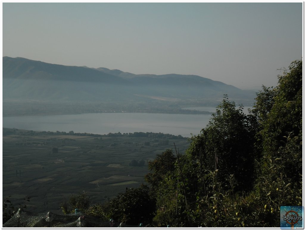 Slika