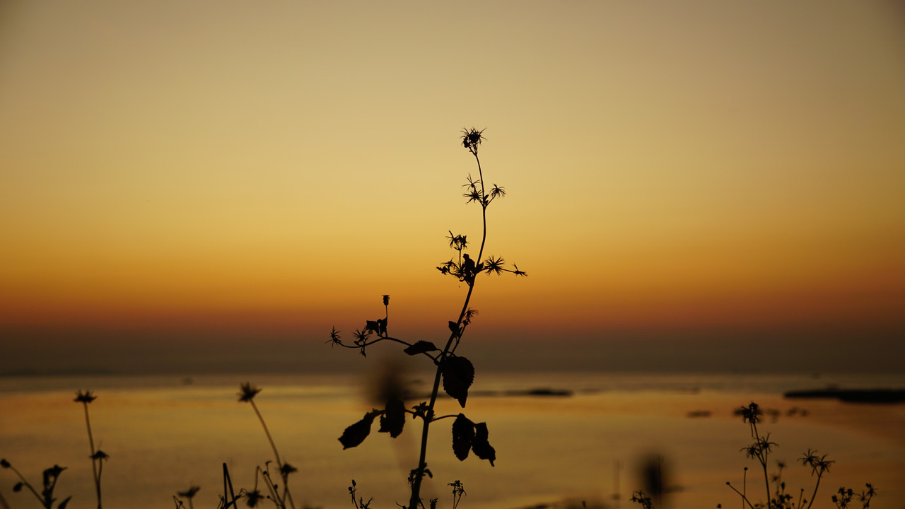 DSC01920