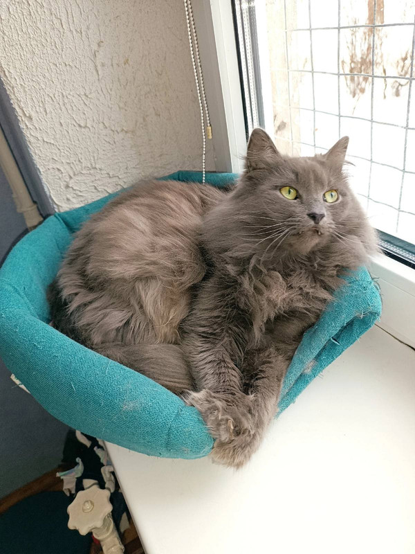 IMG-2a75e9df6ff130ab9f49a293d4cd7680-V