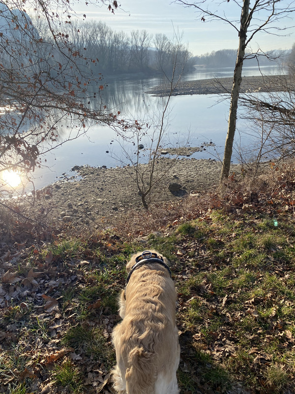 A831D386-59A3-4A12-A745-C9EBA084AB91