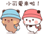 IMG-0204.gif