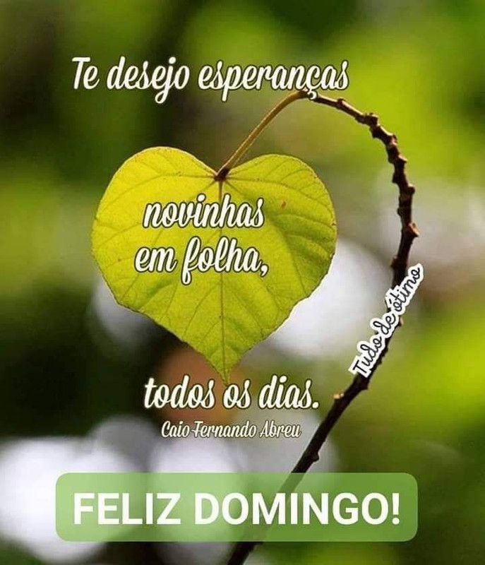 a2039412c8d80dc58cdd11afe59f20c0