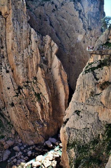 DESFILADERO DE LOS GAITANES (CAMINITO DEL REY)-8-3-2017 - Málaga y sus pueblos-2009/2017 (44)
