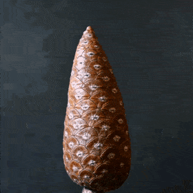 WOWGifs-23