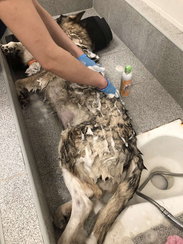 BEC505A7-FD93-41E6-92E5-5A1E6632EC35