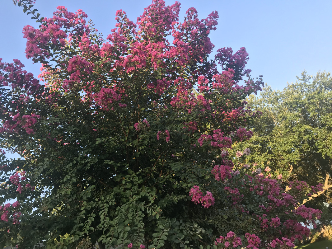 5A318678-F15B-4B5C-9978-FC719FB9237B