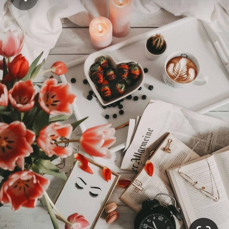 Screenshot_20230310_235504_Pinterest