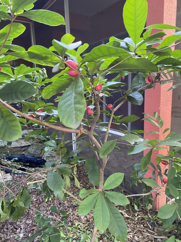 48E57C71-D3D4-4509-9657-8B9B361DBB29