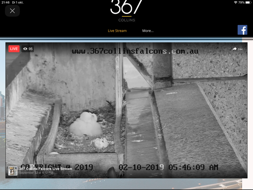 E3F8CD34-A966-4E01-BE23-E4A2704E041B