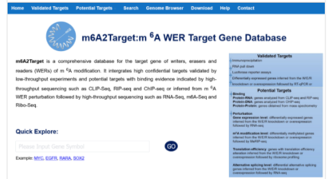 首个针对m6A WER靶基因的综合数据库M6A2Target-1.png