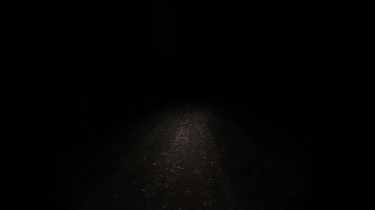 https://i.postimg.cc/g0BNKQxZ/50-Nextorch-TA30-niski-Copy.jpg
