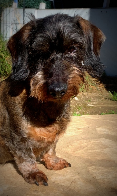 [Image: IMG-0341.jpg]