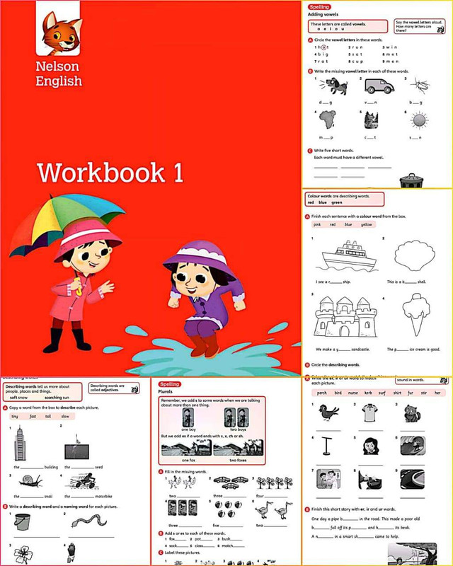 Download English Workbook : 1  PDF or Ebook ePub For Free with | Phenomny Books