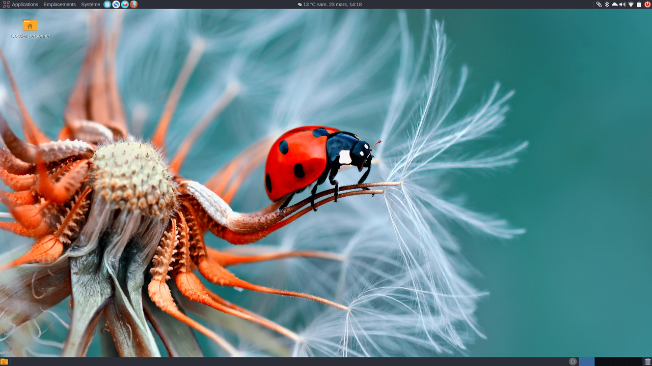 Capture du 2019-03-23 14-18-43