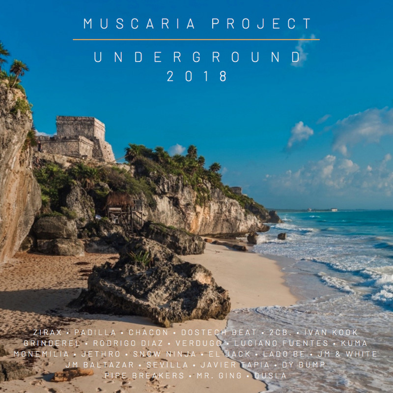 VA - Muscaria Project Underground 2018 (2019) .mp3 -320 Kbps
