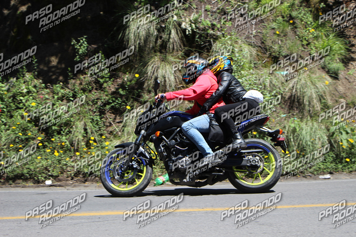 IMG 7629 wm 22983455 9 watermarked — Postimages