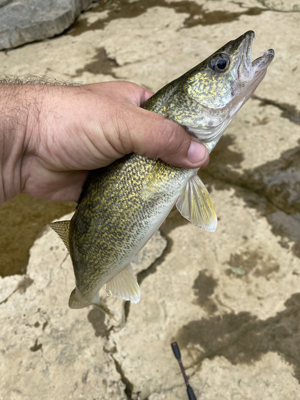 IMG_4004.jpg