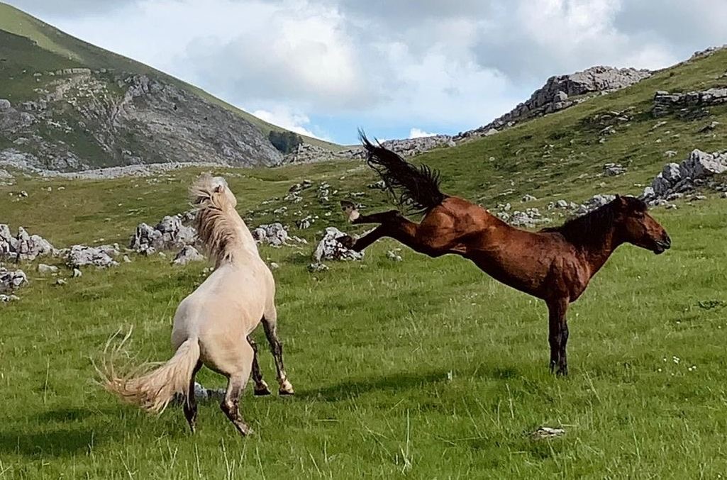 Foto mjeseca februar