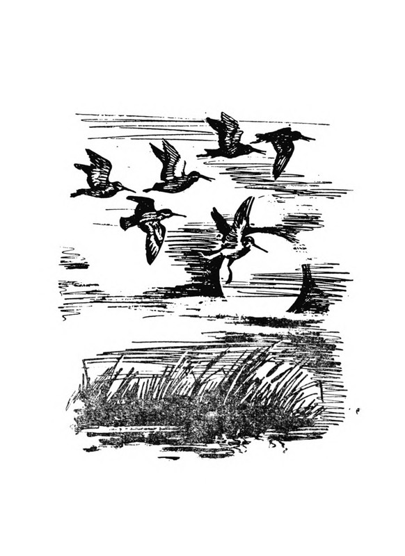 p0042