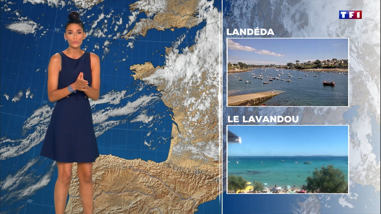 2022-08-19_20_00_TF1_Le-20h.mp4_snapshot_00.23.717