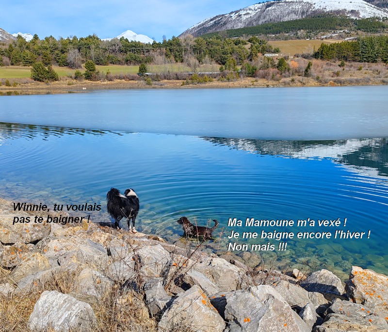 IMG-20260222- 122419bb