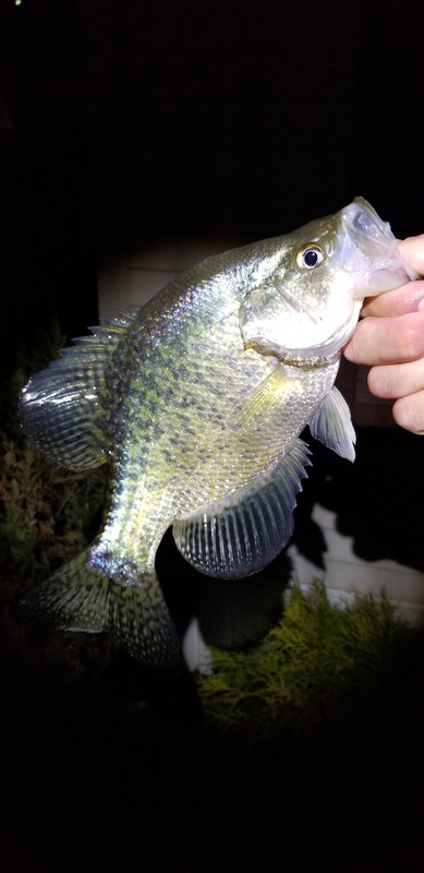 20190409_002137