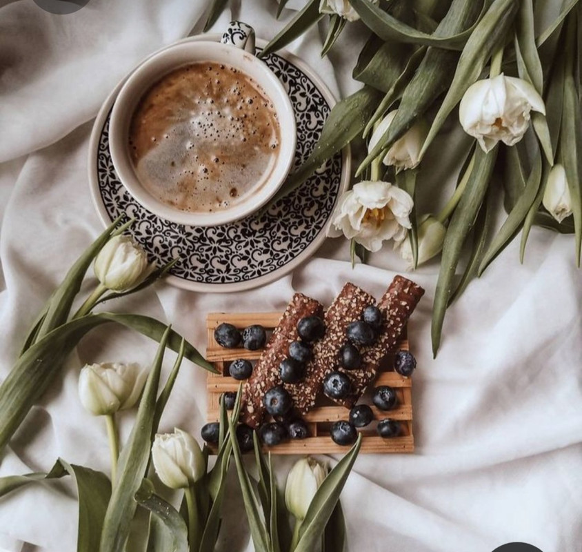 Screenshot_20230407_235524_Pinterest