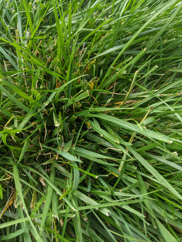 PXL_20210918_132009787