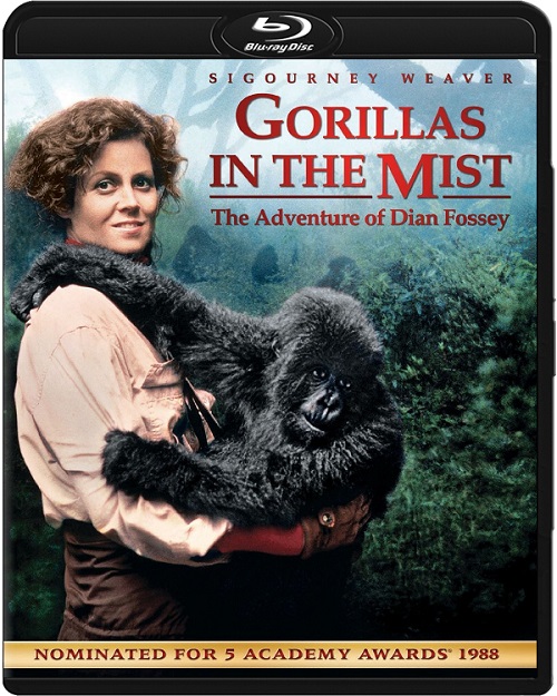 Goryle we mgle / Gorillas in the Mist: The Story of Dian Fossey (1988) MULTi.1080p.BluRay.x264.DTS.AC3-DENDA / LEKTOR i NAPISY PL