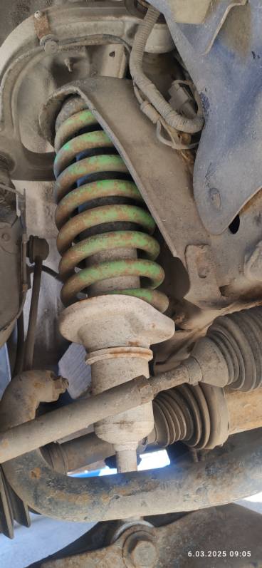 IMG_20250402_075621 (5)