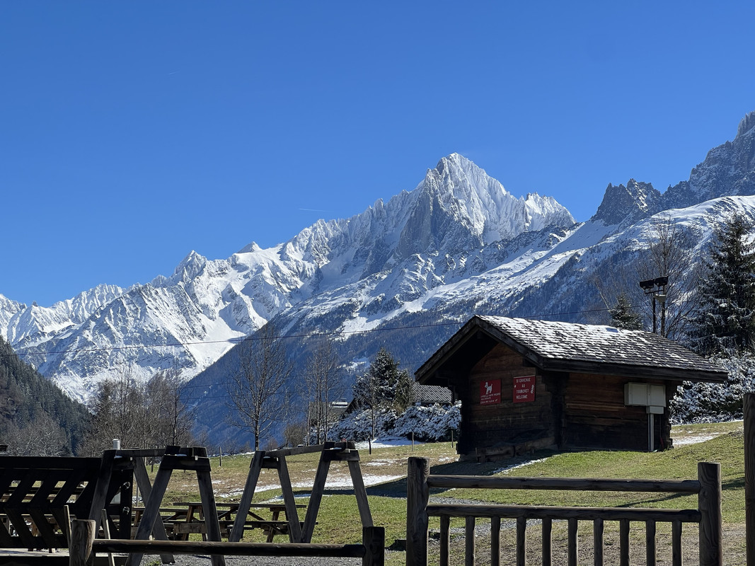 B382C496-047B-43EA-9B5B-02DB377451C0