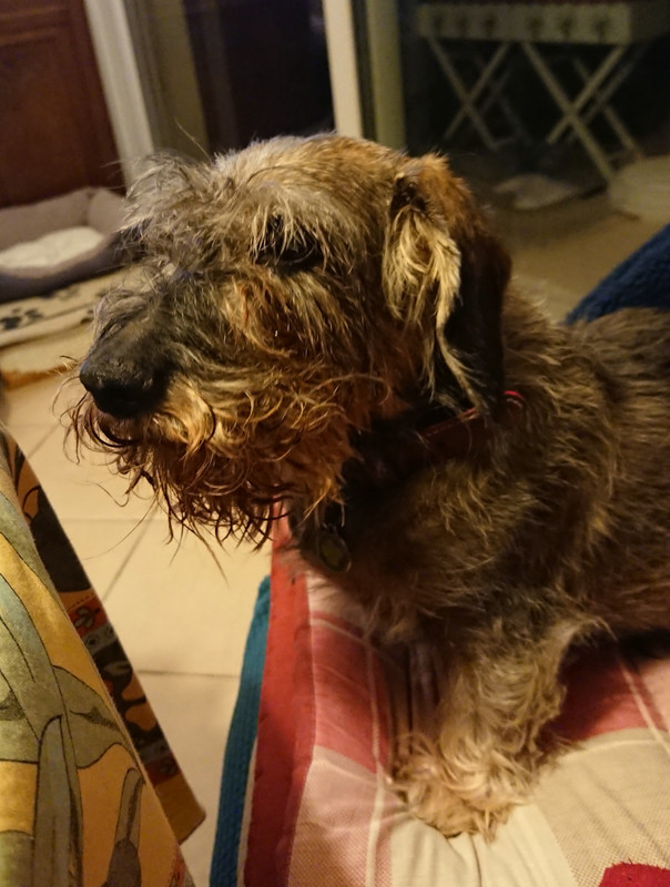 [Image: 20231113-191546.jpg]