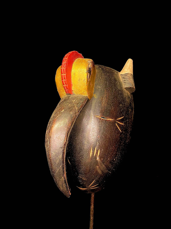 large image 6
