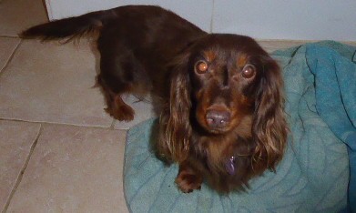 [Image: P1050930.jpg]