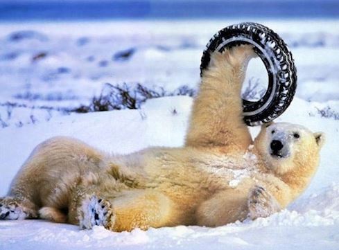 pneu-neige-hiver-humour