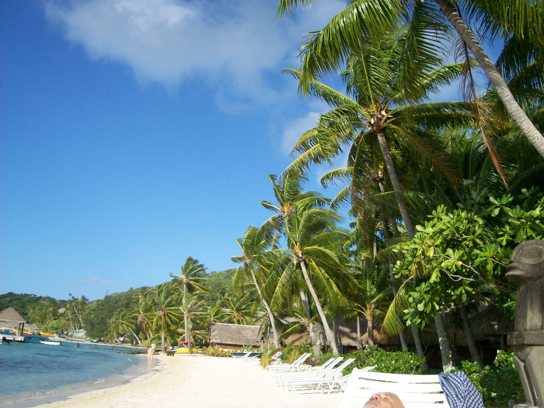 Polinesia, nosotros y la visión del paraíso. - Blogs de Polinesia Francesa - 3° Etapa: BORA BORA. (13)