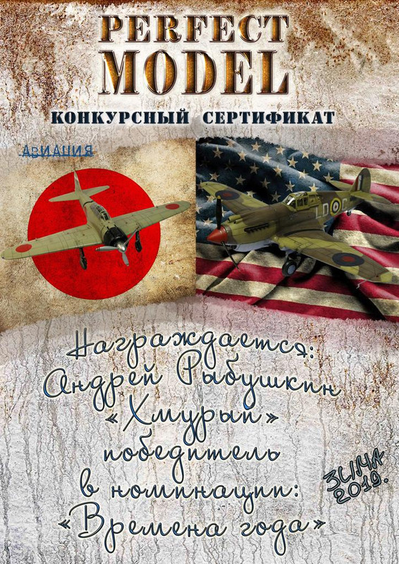 Зимний диплом авиа