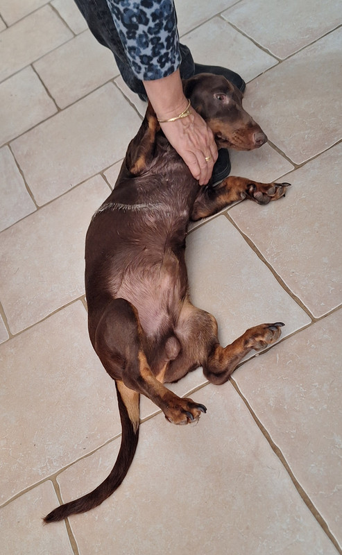 [Image: 20251002-151937.jpg]