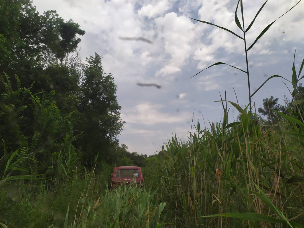IMG-4484f4af203a853c062e4e3a66f7c31d-V.j