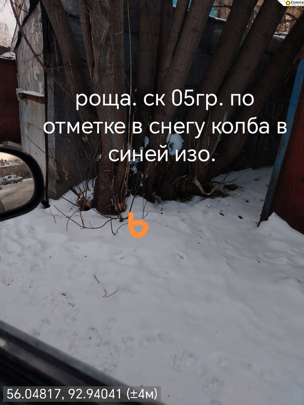 photo 18 2025 12 16 12 18 38