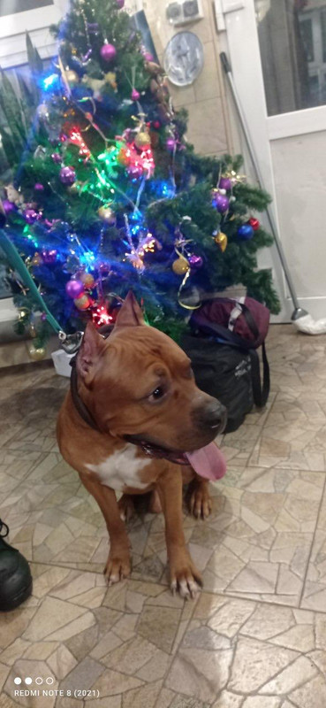 WhatsApp Image 2024-01-11 at 21.24.26 (1)