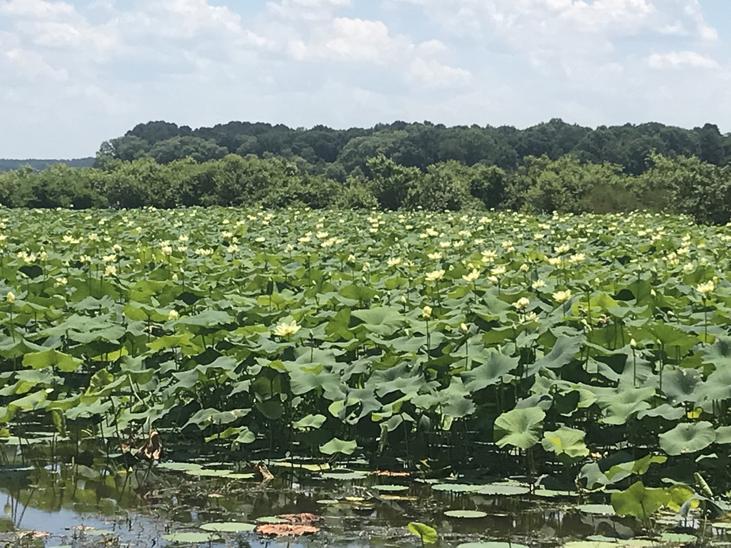 646AAEA0-6BA6-4A5E-B61F-6BE3B8CBF037