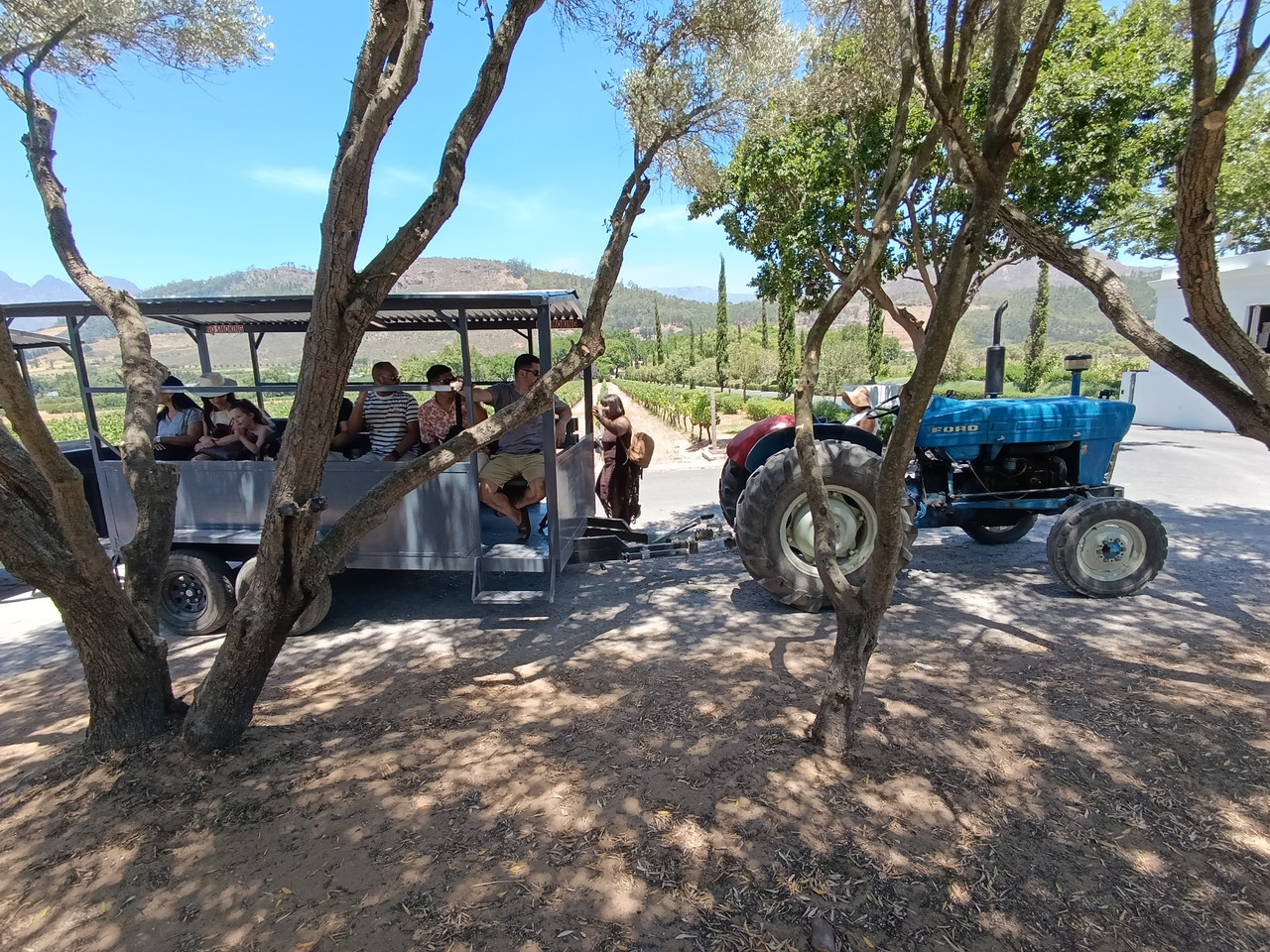 Такая близкая Африка. (ЮАР. 22 дня и 4200 км. Ноябрь-Декабрь)