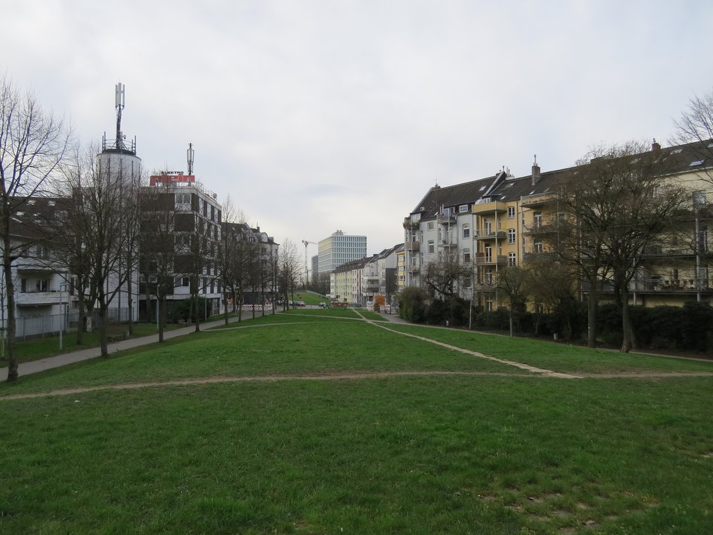 IMG_0111