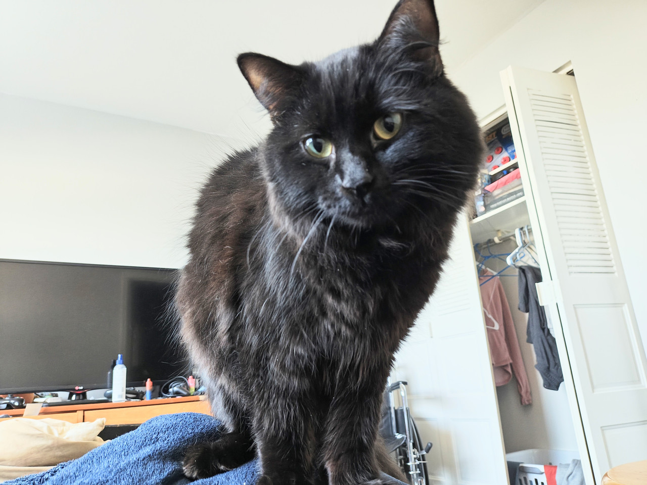 [Image: IMG-20260126-084657937-HDR-2.jpg]