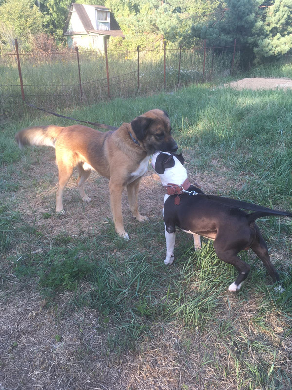 D88C9B6F-BCC8-41FF-AE9E-67D833E1B6B4