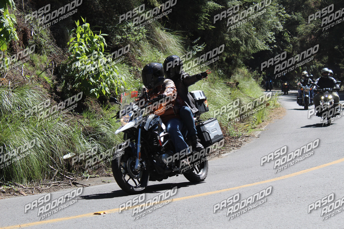 IMG 4514 wm 3436258 2 watermarked — Postimages