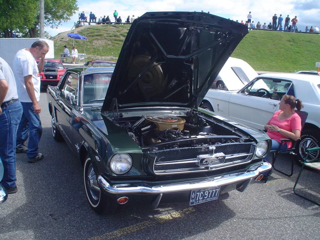 Montréal Mustang: 40 ans et + d’activités! (Photos-Vidéos,etc...) - Page 20 DSC07056